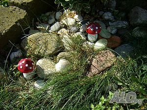 image_19