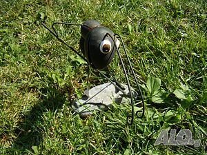 image_22