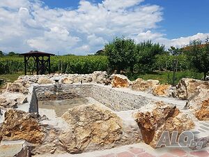 image_21