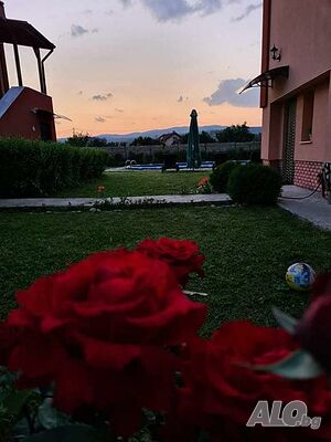 image_35