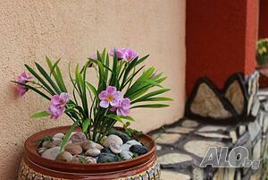 image_42
