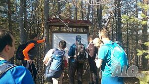 image_7