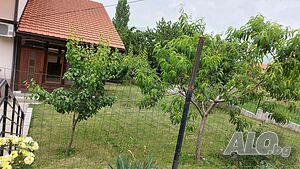 image_21