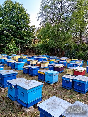 Продавам пчелни кошери Дадан-Блат