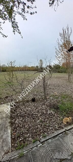 image_11