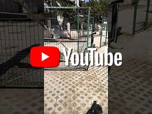 image_3