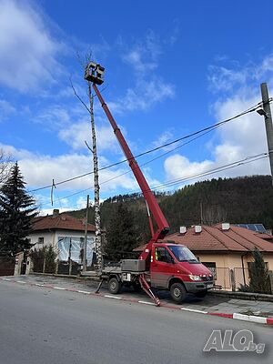 image_6