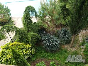 image_10