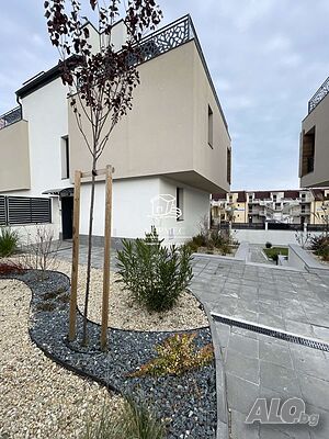 image_12