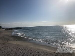 image_12