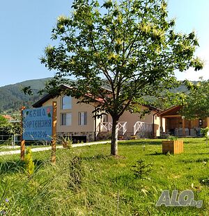 image_12