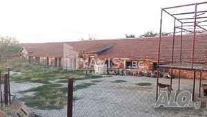 image_7