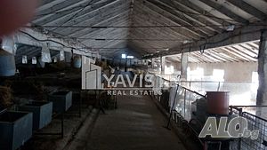 image_8