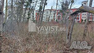 image_5