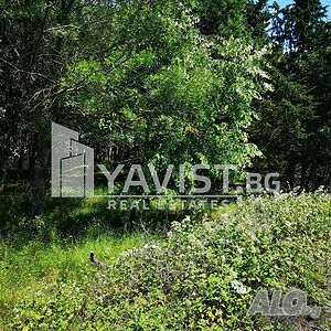 image_6