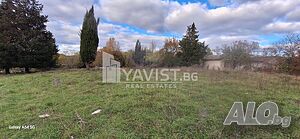 image_6