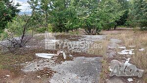 image_7