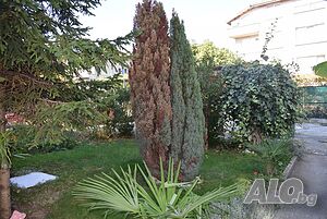 image_6