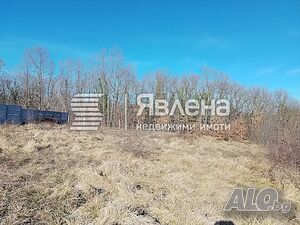 image_4