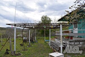 image_6