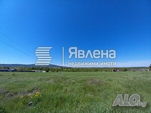 image_5