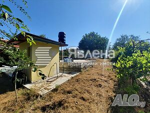 image_6