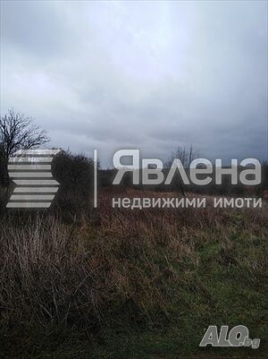 image_7