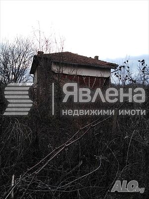 image_11