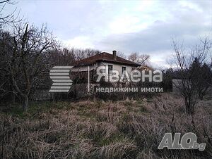 image_12