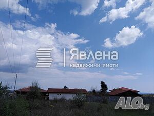 image_6