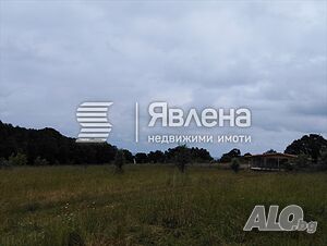 image_7