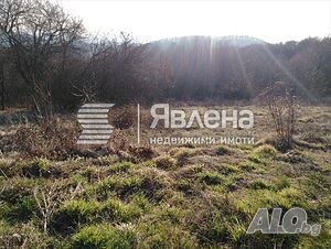 image_2
