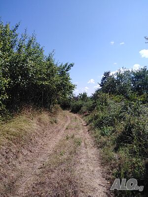 image_6