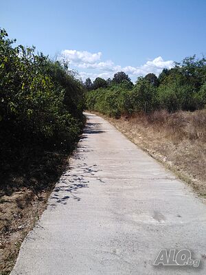 image_7
