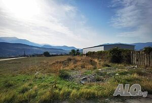 image_5
