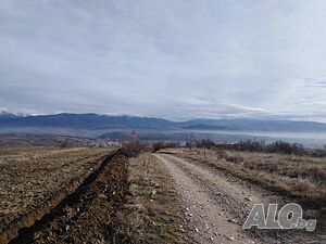 image_8