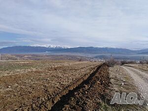 image_9