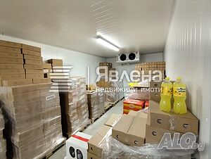 image_6