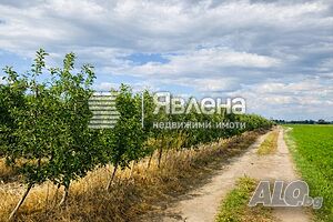 Продажба на овощни градини с. Главиница