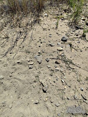 image_6