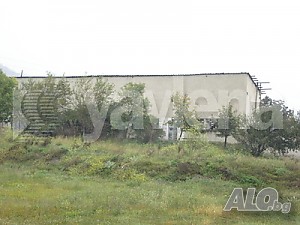 image_7