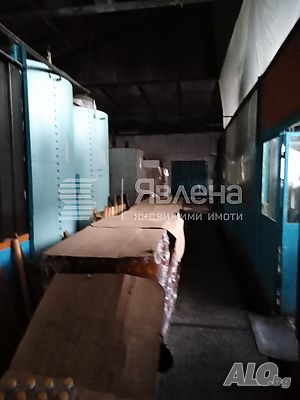 image_6