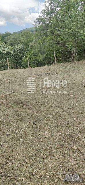 image_5