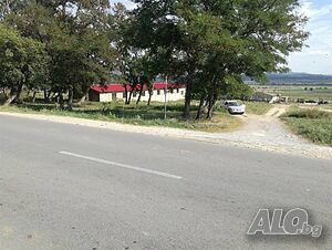 image_5