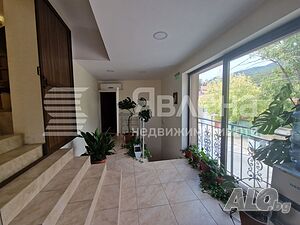 image_8