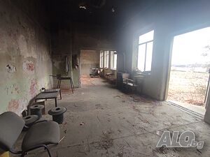 image_5