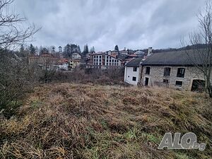 image_6