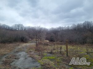 image_11