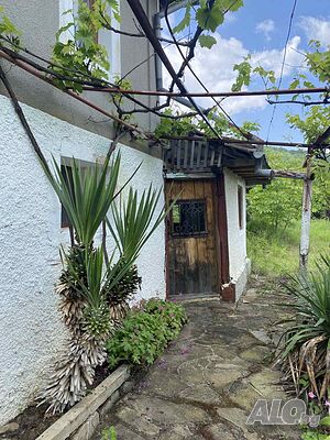 image_13