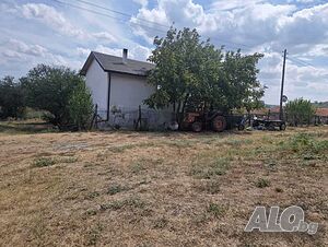 image_10